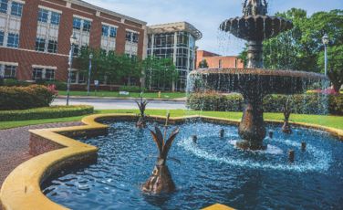 Augusta University Professional and Community Education