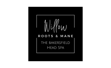 Willow Roots & Mane The Bakersfield Head Spa Logo